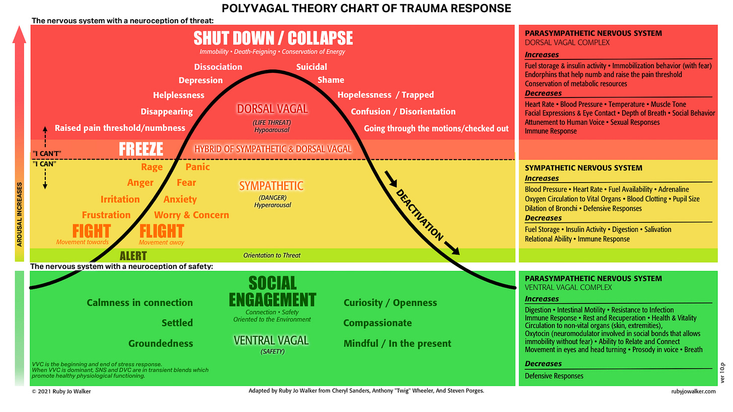 Polyvagal Theory