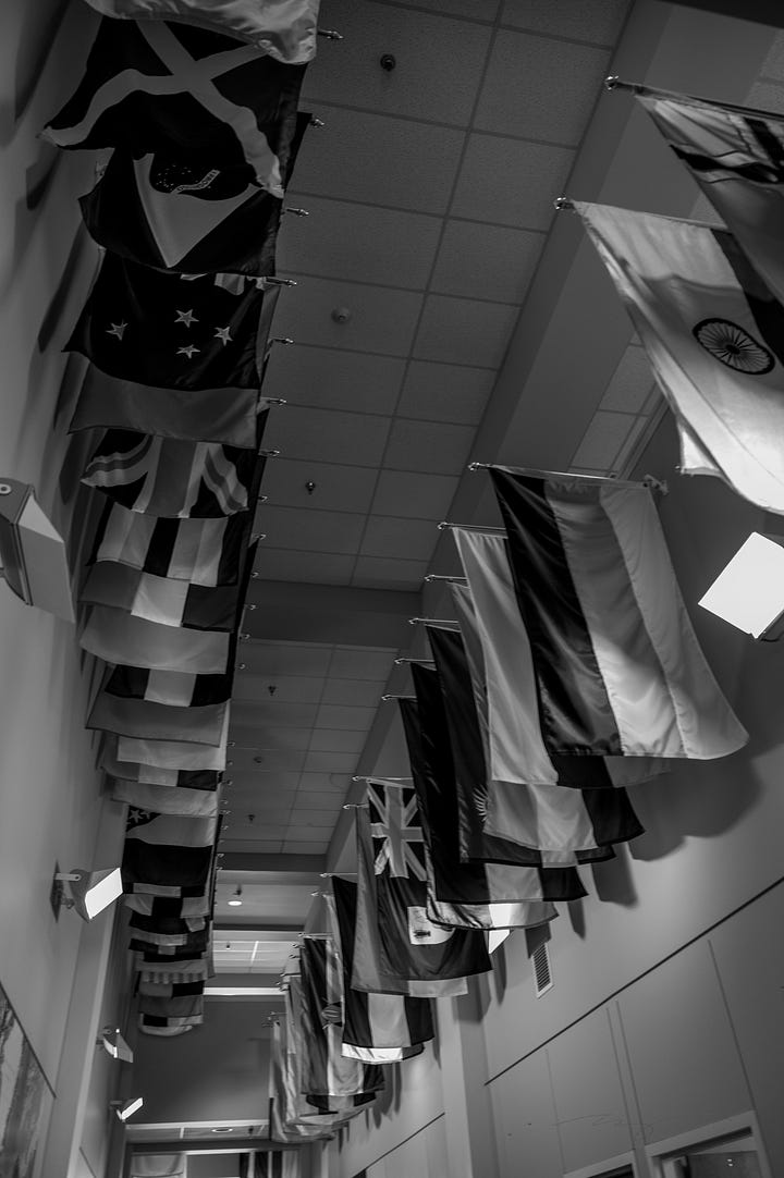 Ozarks sign, student's country flags