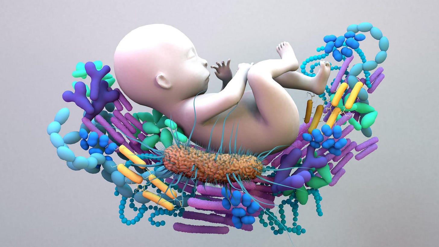 Baby Microbiome, the infant gut microbiome, genetic material of all the microbes.
