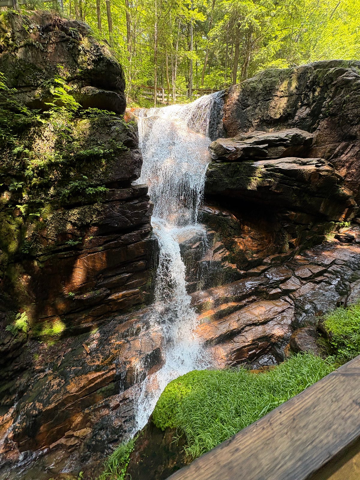 A waterfall descending through a sunlit rocky forest