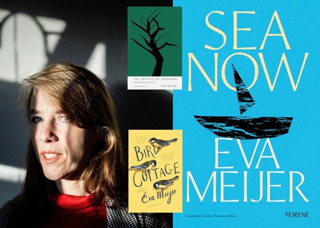 EvaMeijerWebsite EvaMeijerWebsite