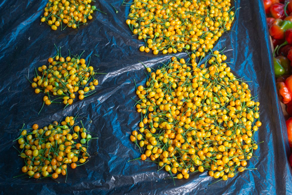 Large piles of charapitas are displayed at a stall in Belén market.