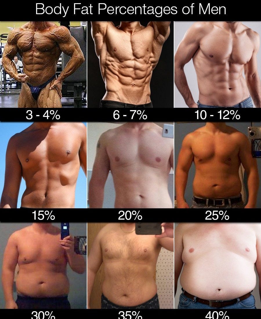 What Body Fat Percentages Actually Look Like - Kubex Fitness