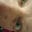 Vladim's avatar