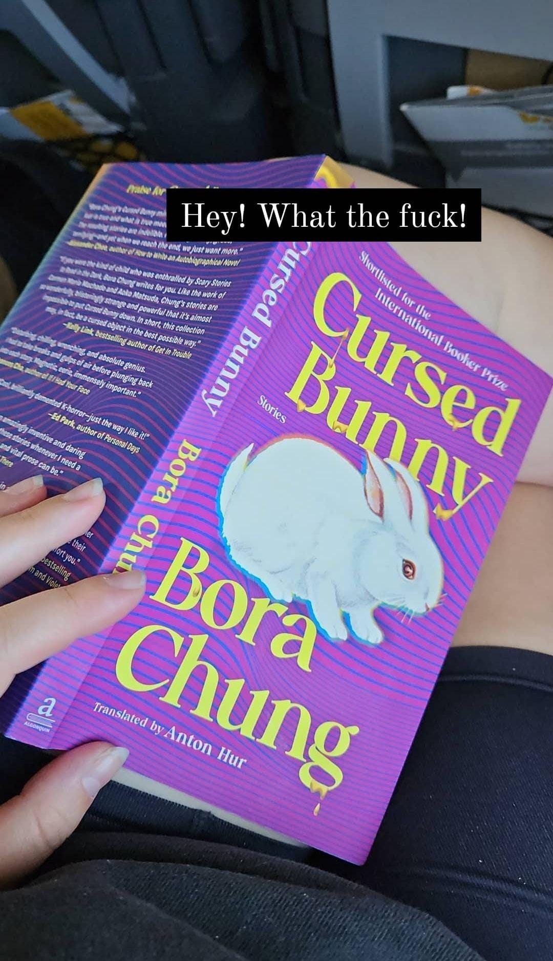 a picture of Cursed Bunny, splayed open with the caption "hey! what the fuck!"