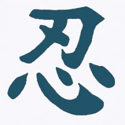 the patient investor