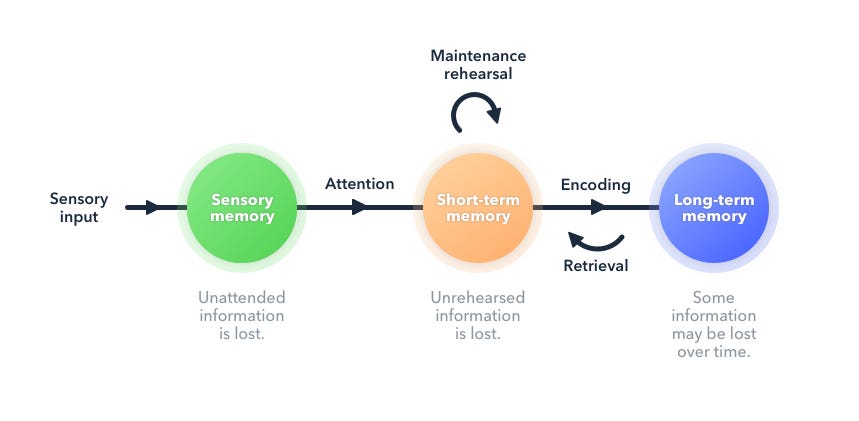 Why teachers need to understand how memory works | by Gauthier Lebbe |  Wooclap 🇬🇧️ | Medium