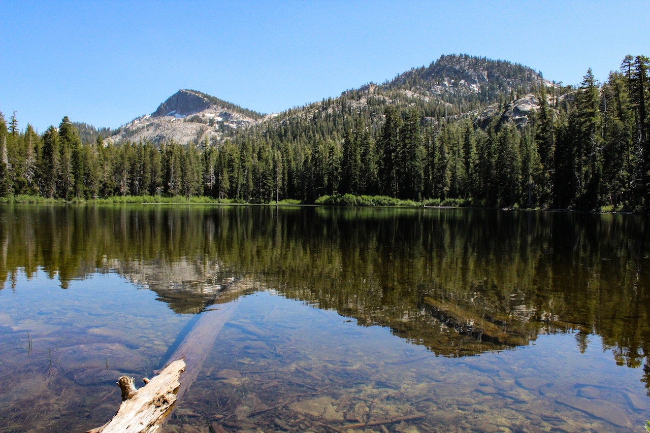 Photo by Josh Haynam: https://www.pexels.com/photo/trees-and-pond-537393/