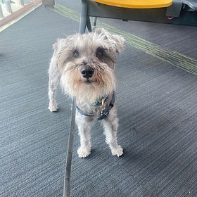 Peeing on Airports