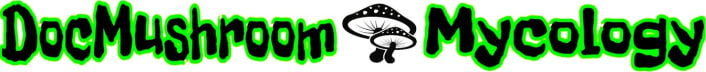 DocMushroom Mycology Newsletter