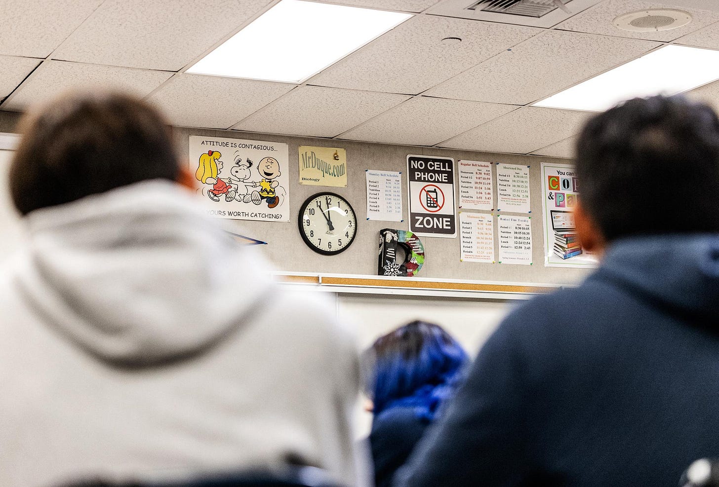 image-5907937 image-5907937