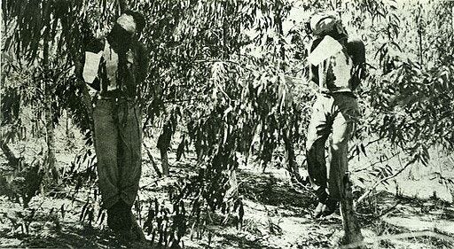 British_sergeants_kidnapped_and_hanged_by_the_Irgun,_1947.jpg British_sergeants_kidnapped_and_hanged_by_the_Irgun,_1947.jpg