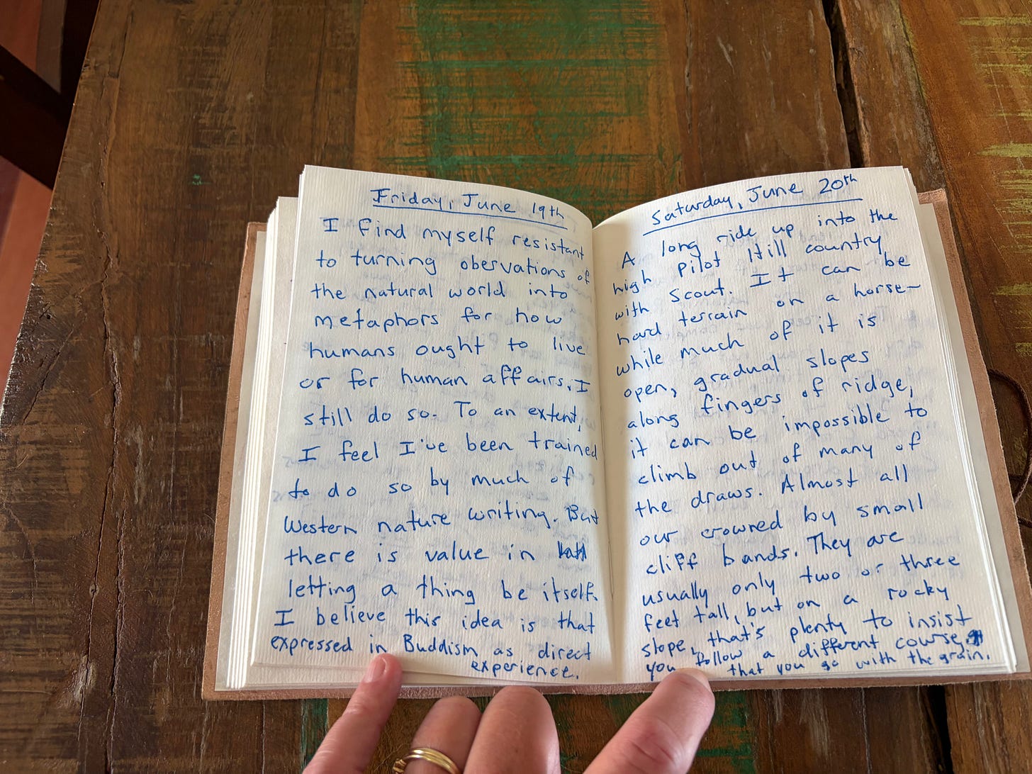 Image of handwritten journal (text transcript below)