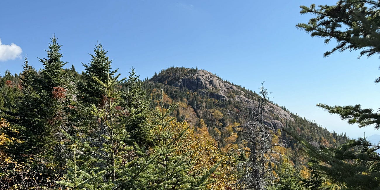 Largest ORES solar complex sited for Adirondack Park on "hold" amid money concerns
