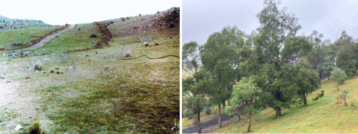 Middle earth in the kanimbla valley in 1980 and 2024 Middle earth in the kanimbla valley in 1980 and 2024