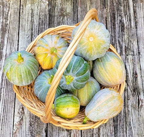 Left to right: garlic scapes, Autumn Frost squash, and green garlic.
