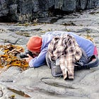 Art project spotlights vital coastal habitats