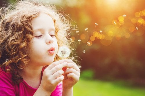 https://www.childsafehouse.org/wp-content/uploads/girl-blowing-dandelion-500x333.jpeg