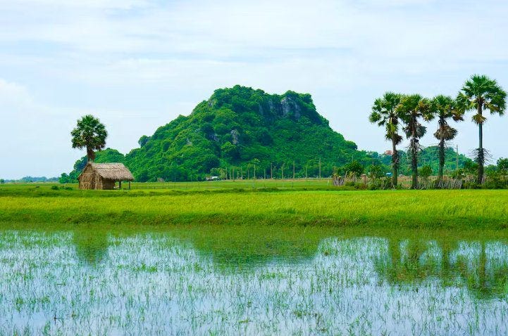 Paysages du Delta du Mekong Paysages du Delta du Mekong