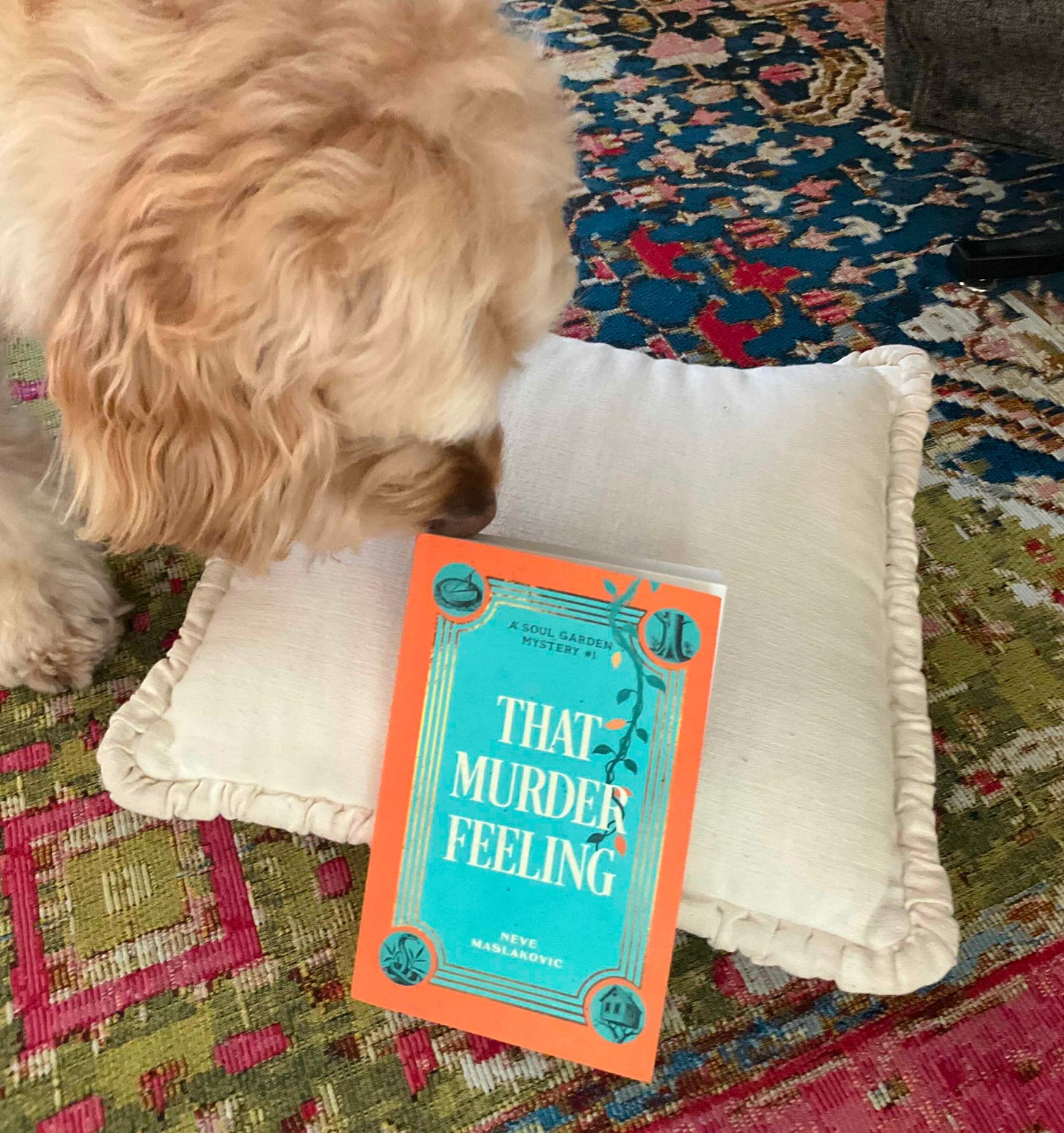 Goldendoodle sniffing a paperback propped up against a pillow