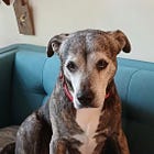 Contrarian Rescue of the Week