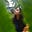 Angeline's avatar