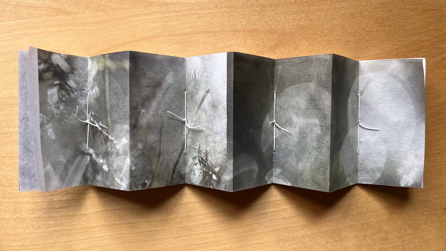 Layered concertina book made by Michela Griffith