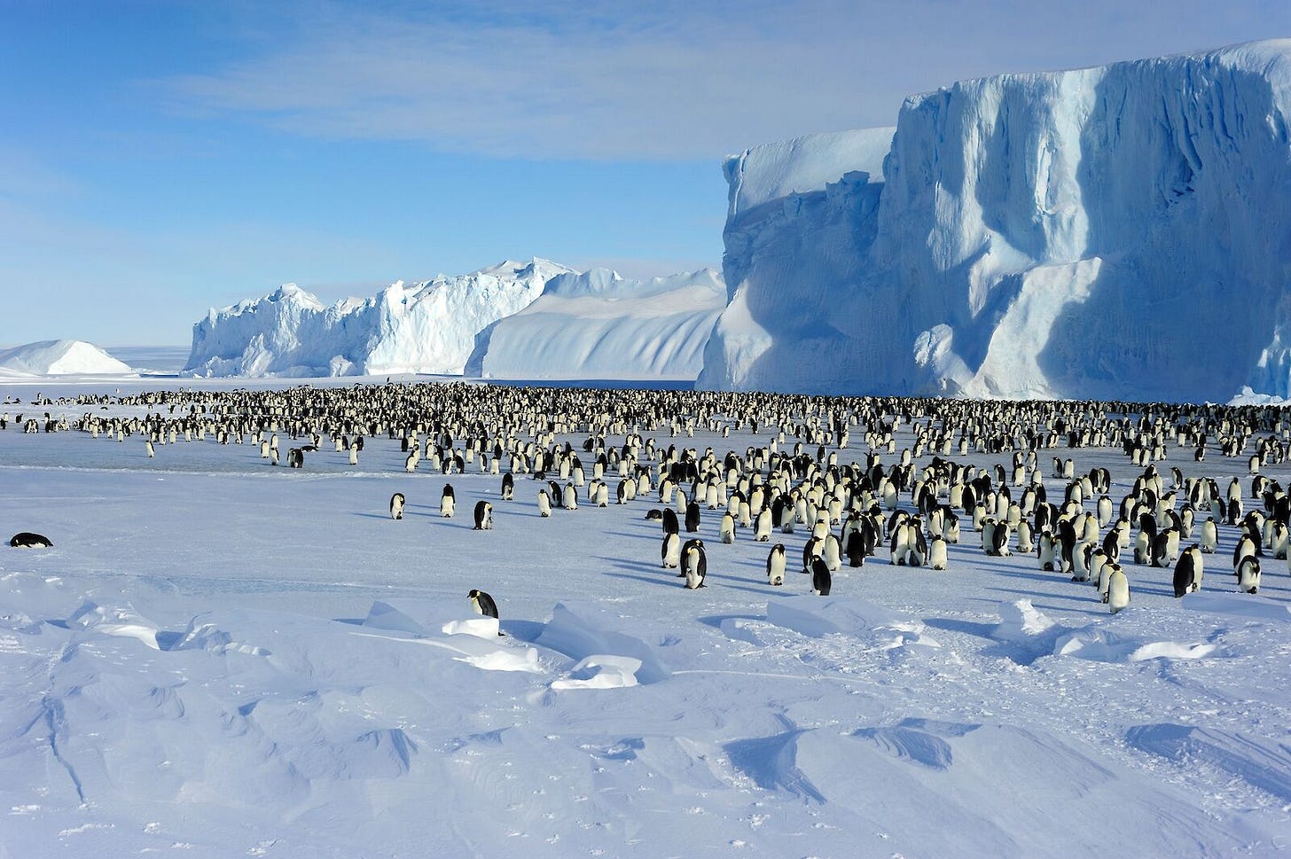 Climate change poses greatest threat to Antarctica – Australian Antarctic  Program (News 2022)