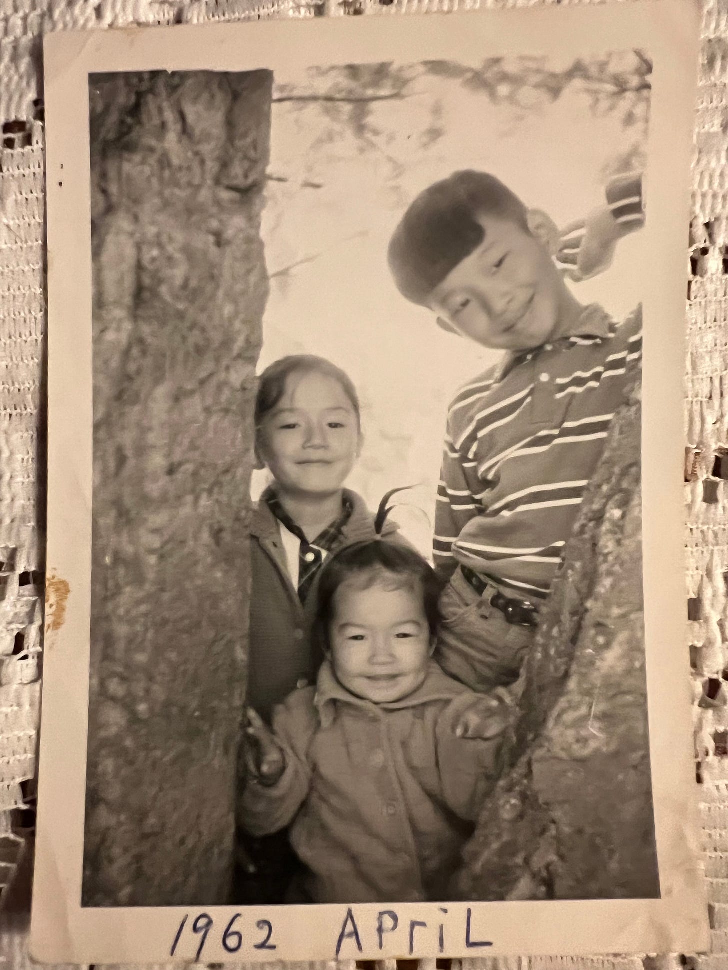 Photo of myself, Demian, next to my older brother, and our baby sister front and center in the middle of the twin trunks of a tree, in the mountains of New Mexico. 
