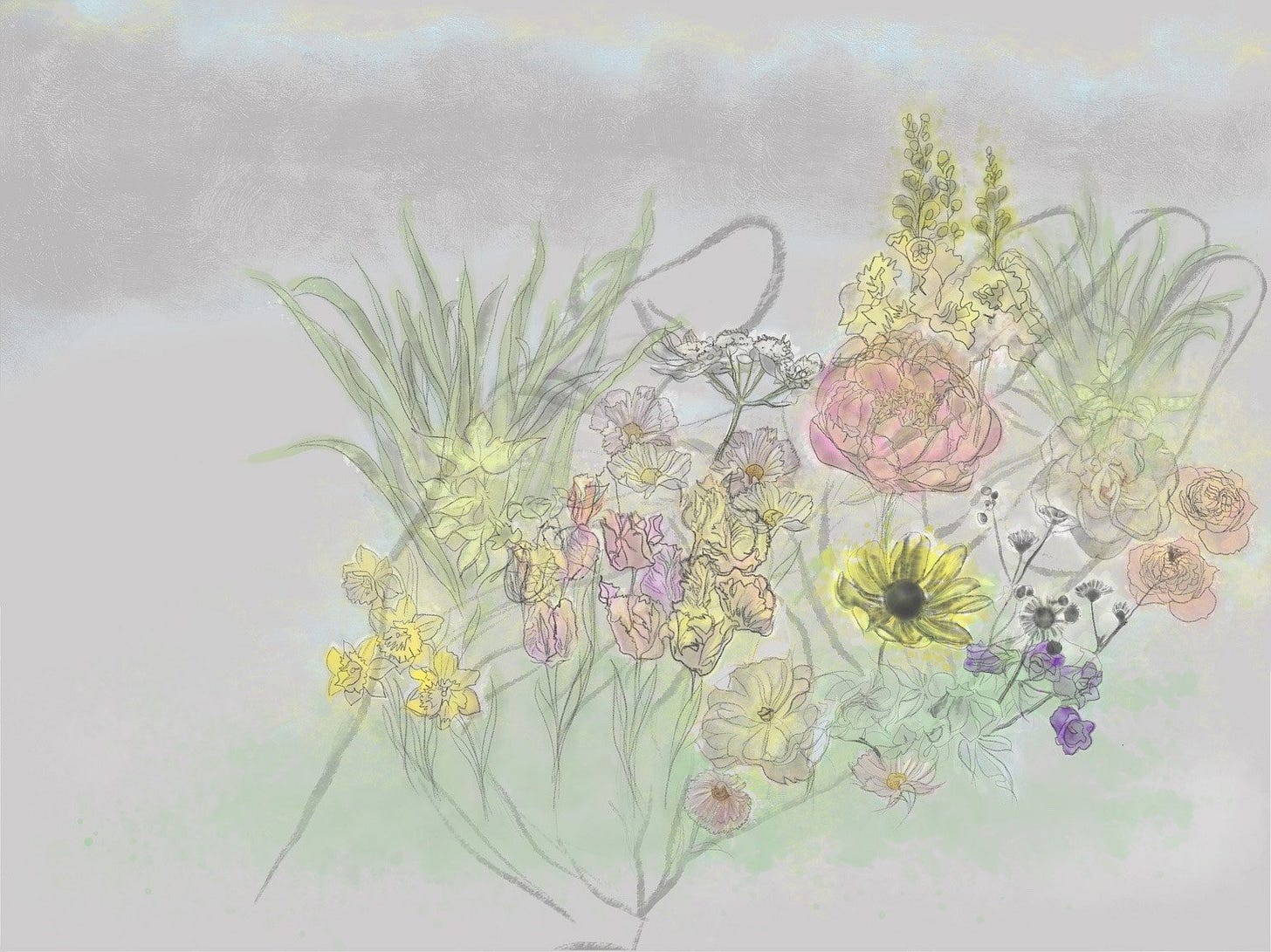 line drawing illustration of wild flowers