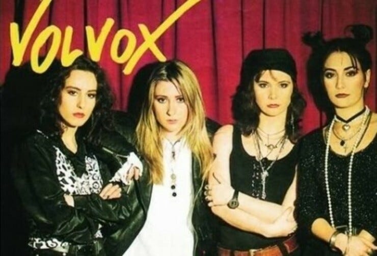 Volvox Grubu