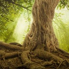 Crafting Organic Narratives: Three Steps to Character-Driven Fiction