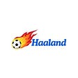 Erling Haaland's avatar