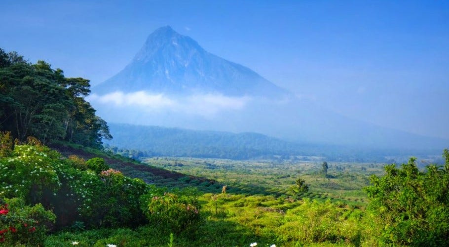 Will I get cell phone service in Virunga national park- SimCards in Congo