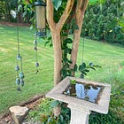 Stop. Step Aside. And Watch.