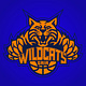 Basket Clube de Gaia