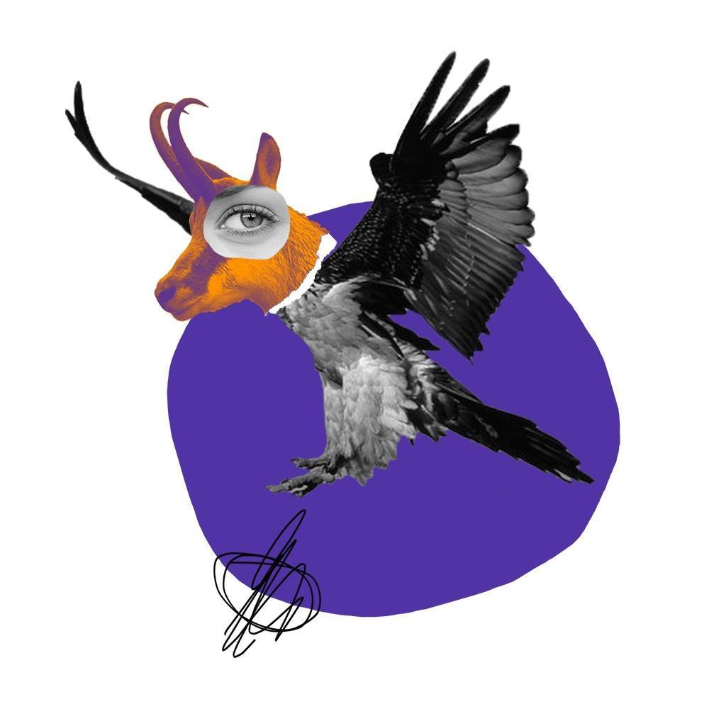 Les Passeurs - contrebande d'imaginaires en montagne