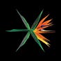 all_kaps_'s avatar