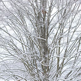 The Winter List ❄️🧸🕯