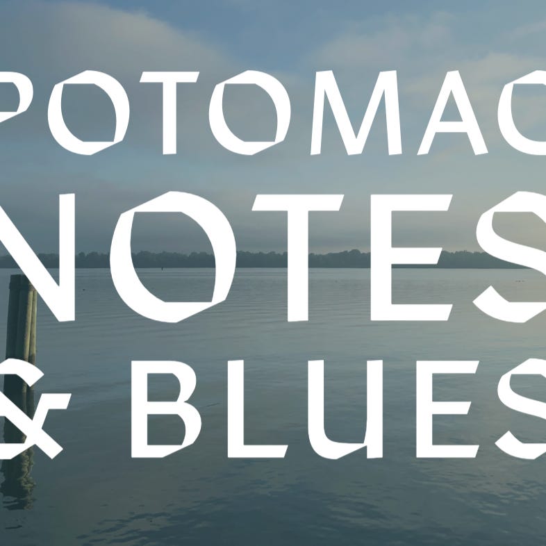 potomac notes + blues