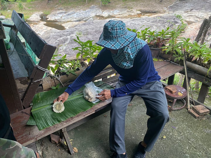 local Thai collecting mushrooms