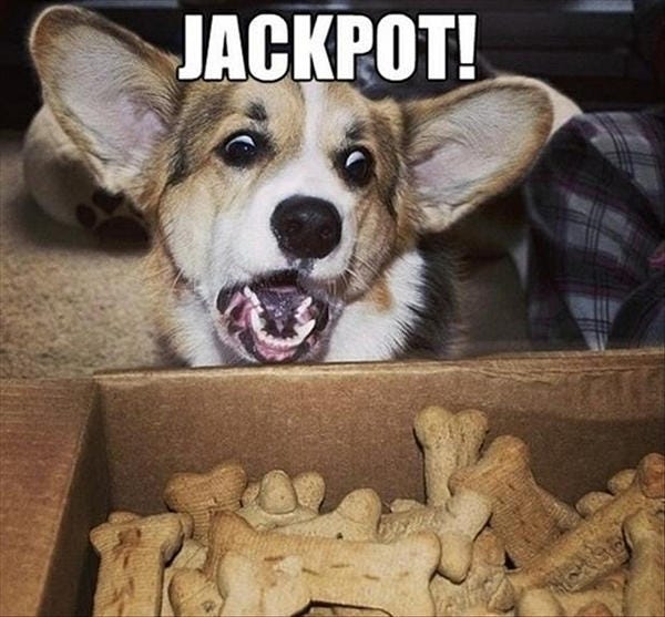 Jackpot - Meme Guy
