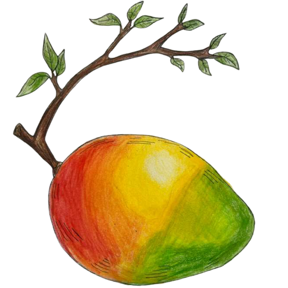 To Get to the Mango Tree