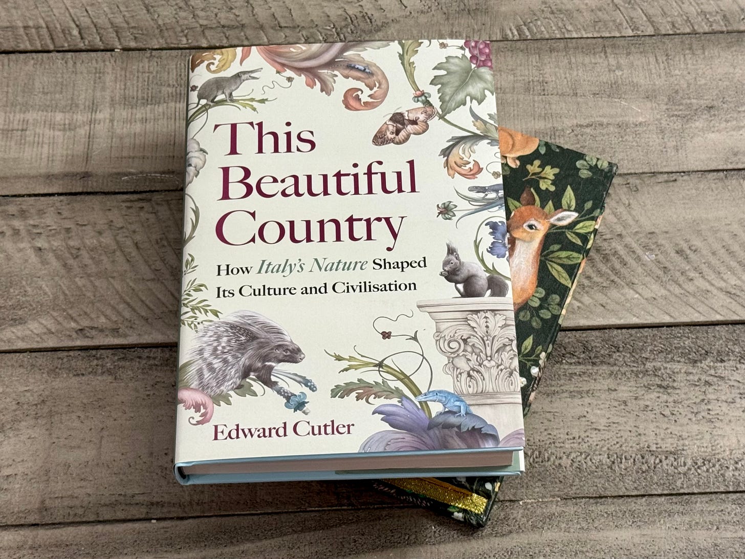 This Beautiful Country: How Italy's Nature Shaped Its Culture and Civilisation.