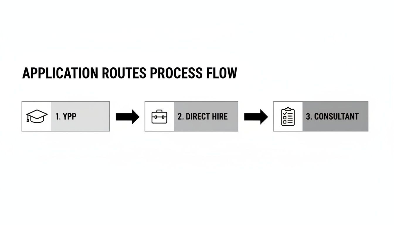 Process flow diagram illustrating three application routes: YPP, Direct Hire, and Consultant options.