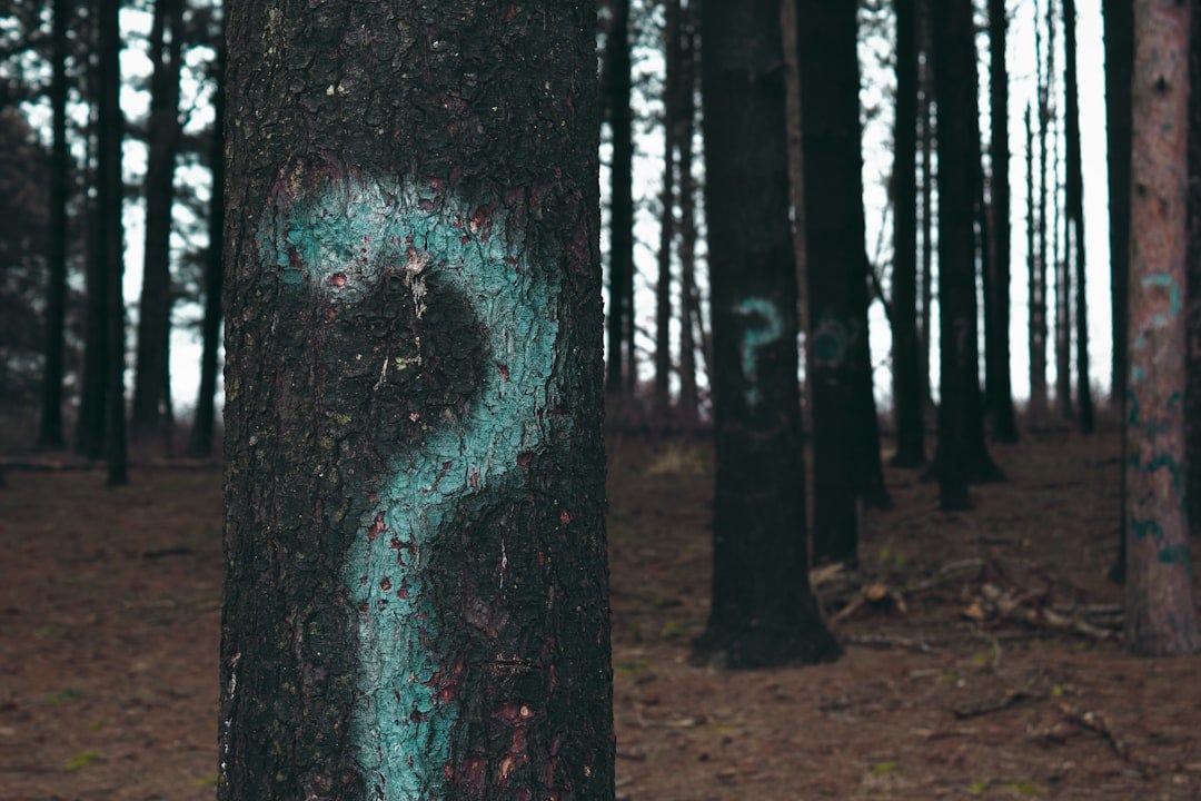 forest trees marked with question marks forest trees marked with question marks
