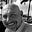 Steve Rinaldi's avatar