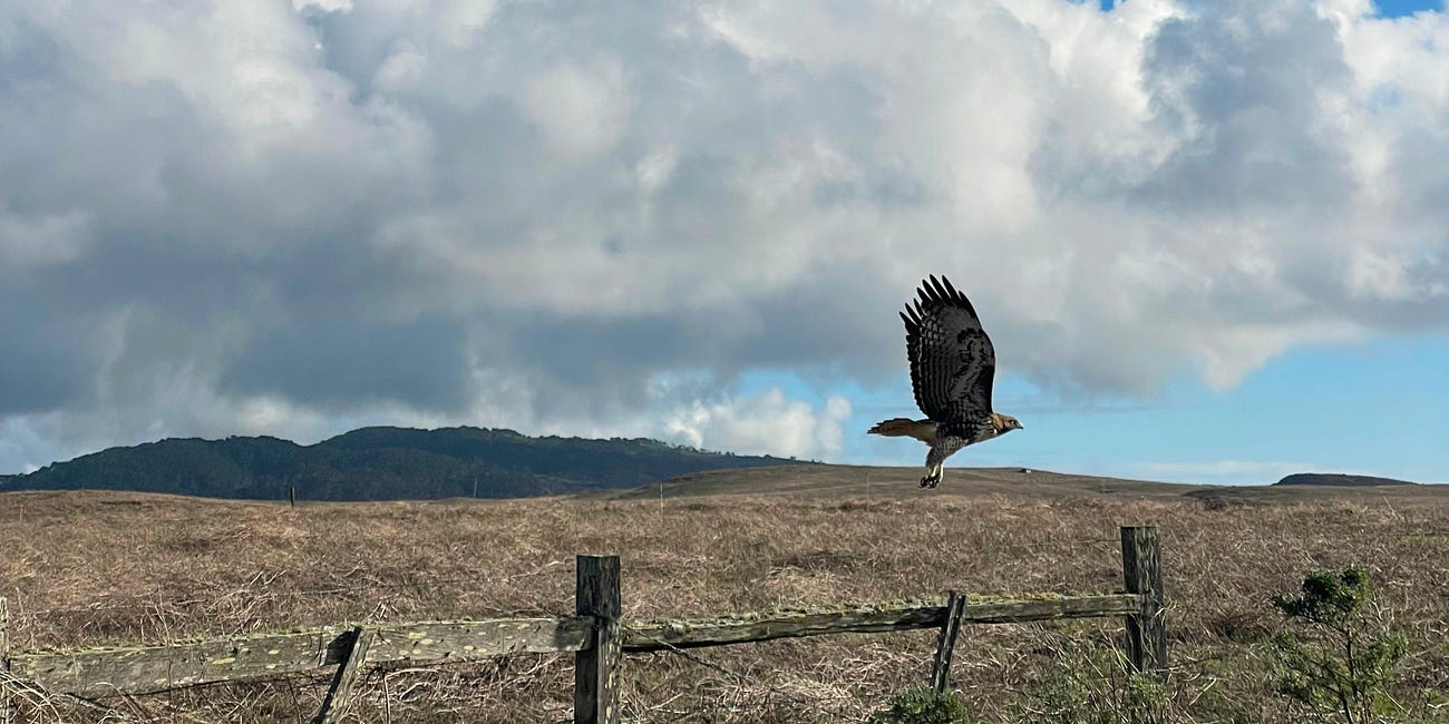 12 Years Ago, Channel Islands Superintendent Warned Point Reyes Ranchers the National Park Service was Coming for Them: "NPS Has No Soul."