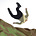 Ryan Mitchell's avatar