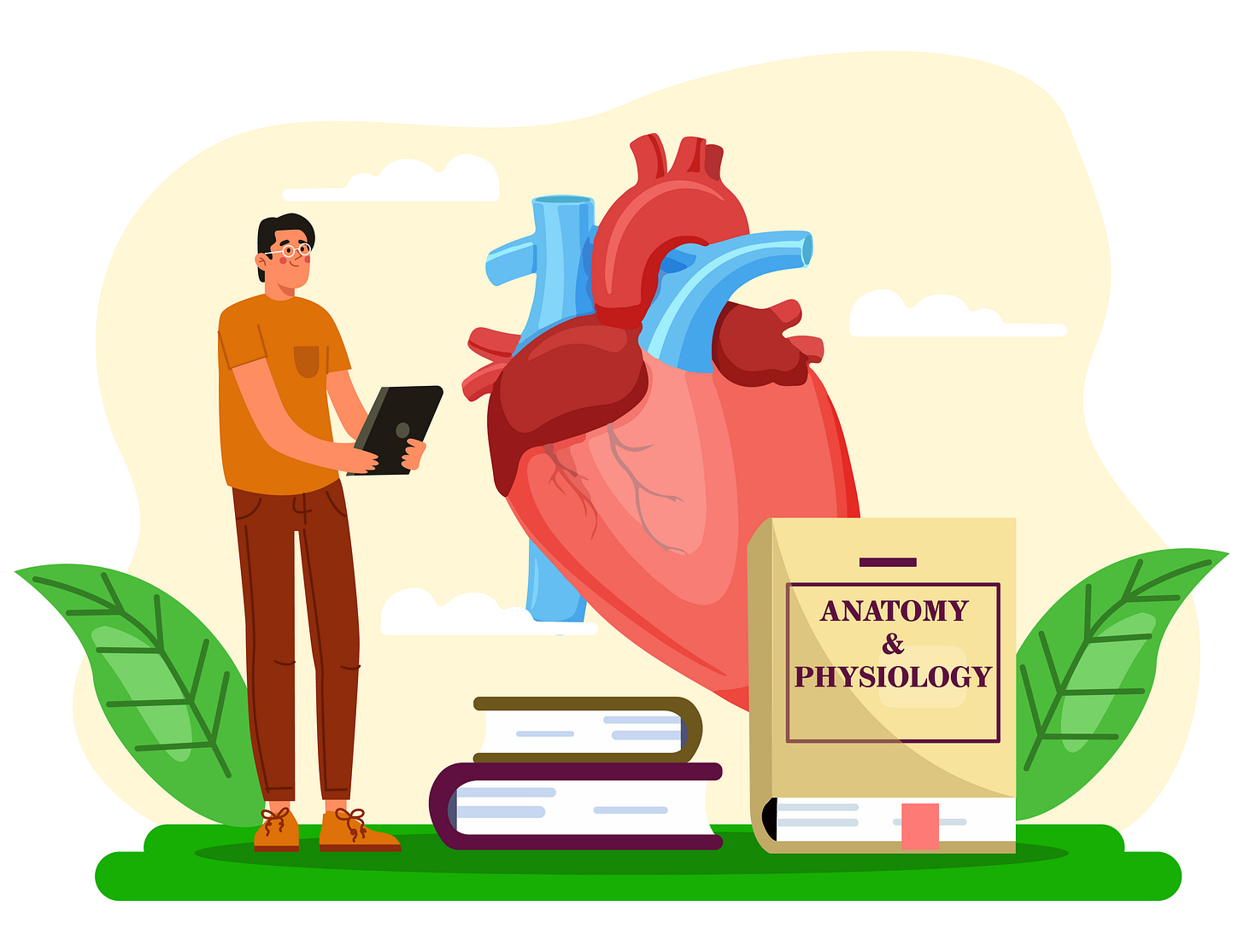cartoon of person studying or teaching anatomy and physiology